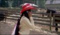 dr dolittle 3-avi_209.jpg